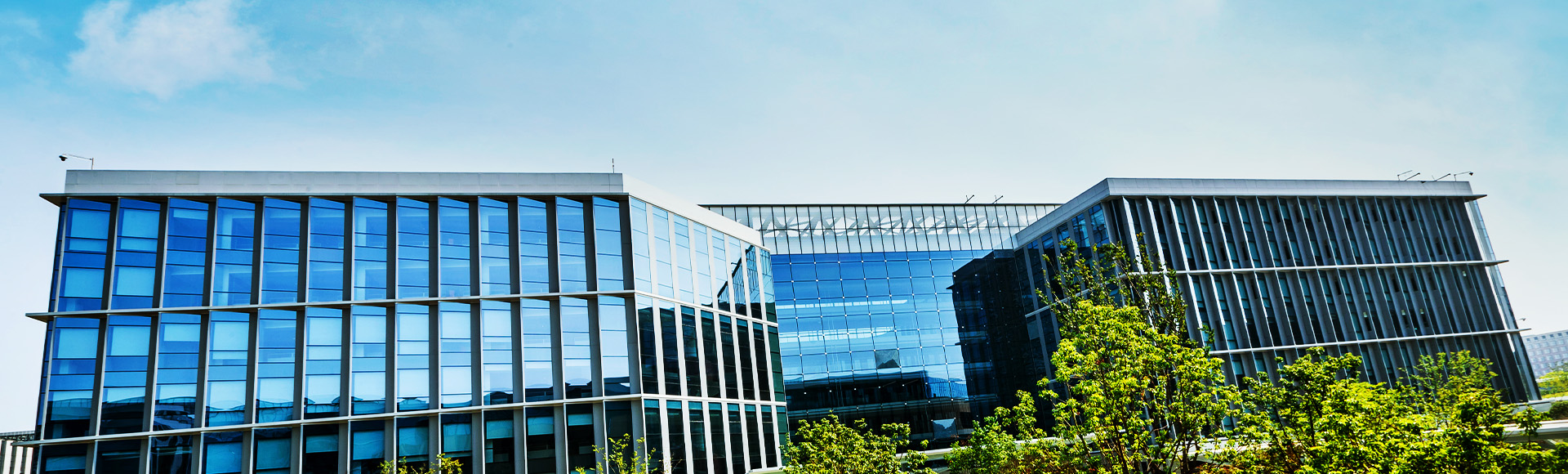 ?？低?>        <div   id=